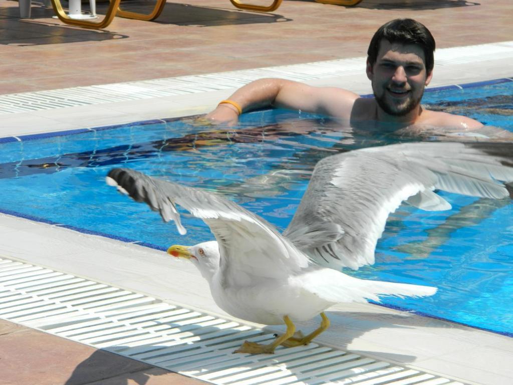 Hotel Andreas - Agistri Skála Dış mekan fotoğraf